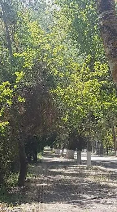 Agrampeli Villa Valsamata Grecia